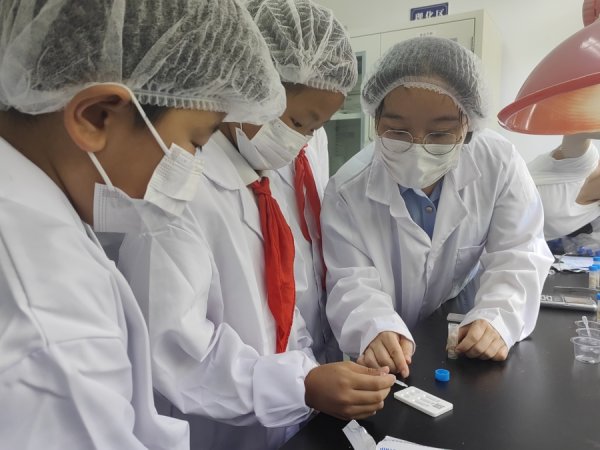 天载配资 小学生化身“食安小哨兵”！朱泾镇创新模式让萌娃守护“舌尖上的安全”