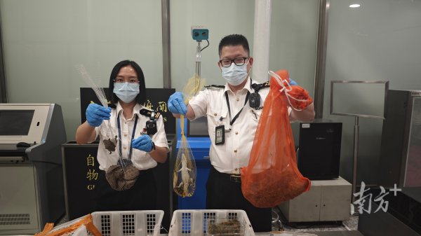长宏策略 查获濒危活体动物32只！这个行李有点“野”啊