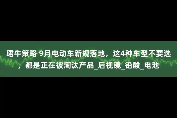 珺牛策略 9月电动车新规落地，这4种车型不要选，都是正在被淘汰产品_后视镜_铅酸_电池